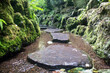 Peaceful pathway in a calm river stone walkway