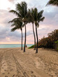 Amazing breathtaking beautiful sunrise sunset twilight dusk dawn hour at tropical paradise beach in Miami South Beach, Florida with picturesque nature, landscape and seascape scenery dream destination