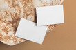 © mallmo - Two white business cards against bright stone and beige background. Front view.