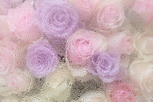Beautiful Pink Rose Flowers Through The Glass With Waterdrops Background