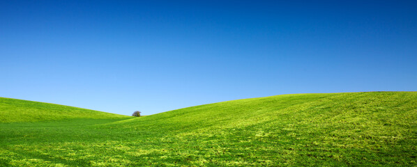 spring landscape background with blue sky and green grass field.