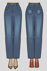 Wall Mural - Vector illustration of women's mom jeans. Front and back