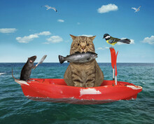 A Beige Cat Fisherman In A Red Row Boat Caught A Trout In The Sea.