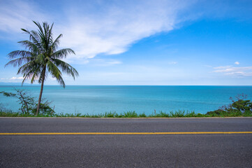 Coconut palm tree on side of asphalt road and tropical seascape scenery in the background.
