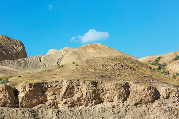 Wall Mural - canyon of the OG riverbed at dawn