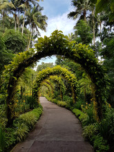 Beautiful View Of An Archway In Singapore Botanic Garden