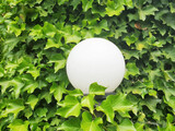 Fototapeta Desenie - White round lamp surrounded by a green hedera helix plant. White lamp with green background.