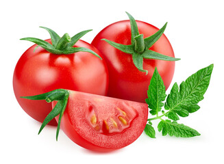 Wall Mural - Tomato leaves isolated on white background
