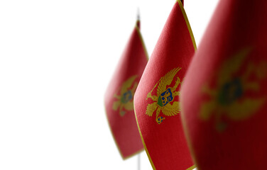 Small national flags of the Montenegro on a white background