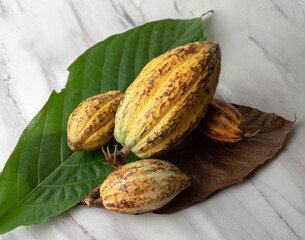 Cocoa Beans and Cocoa Fruits on Cocoa Tree'sLeaf