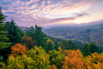 Wall Mural - The beautiful autumn landscape of forest sunrise.