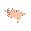Cute kawaii pig in yoga Tuladandasana pose. Doodle Vector Illustration of funny animal character. Sport fitness concept, motivation for kids