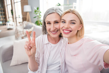 Sticker - Photo of happy positive nice woman and old lady parent make selfie v-sign smile indoors inside house home