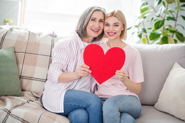 Sticker - Portrait of charming persons sit on sofa hands hold red paper heart postcard beaming smile look camera indoors