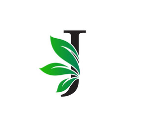 Wall Mural - Letter J Logo with Green Leaves, Nature Logo or Icon Design Template.