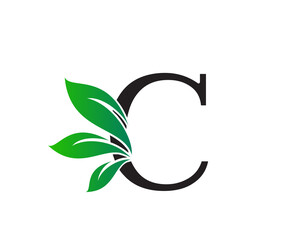 Wall Mural - Letter C Logo with Green Leaves, Nature Logo or Icon Design Template.