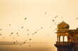 Birds flying around Ganges Rives