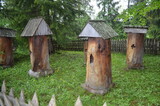 Fototapeta  - Prymitywne dawne ule z drewnianych pni