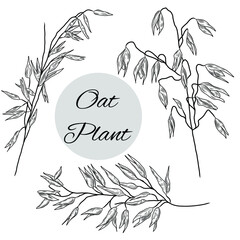 Wall Mural - Oat plant branches collection, set of hand drawn illustrations of oat herbs