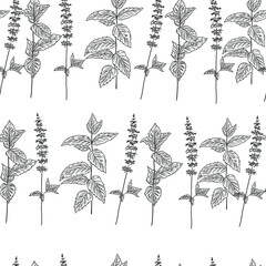 Wall Mural - Seamless hand drawn peppermint pattern