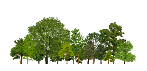 realistic forest wood composition