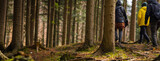 Fototapeta Niebo - Spacer po lesie