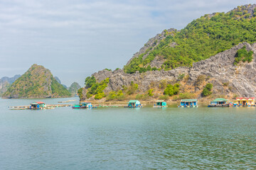 Ha Long Bay landscape, Vietnam