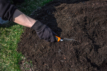 Man with black glove holding shovel dig in brown fertile soil, sustainable garden cultivation in spring and summer season. Prepare ground for agriculture, seasonal outdoors work. Gardening conceptv