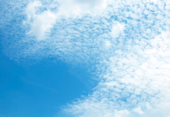 Sticker - The sky is large, bright, beautiful and has white clouds.