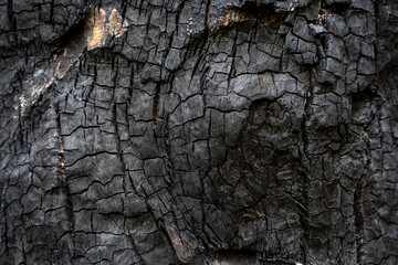 Burned wood texture. Black background, Details on the surface of charcoal.