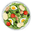 Hand drawn watercolor illustration of Nicoise salad on the plate isolated on the white background. Vector
