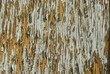 © varbenov - Old weathered grunge wooden surface with cracked and peeling paint closeup as grungy background