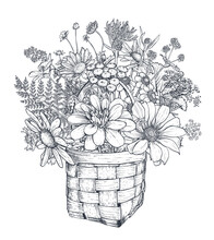 Vector Floral Composition With Black And White Hand Drawn Herbs And Wildflowers