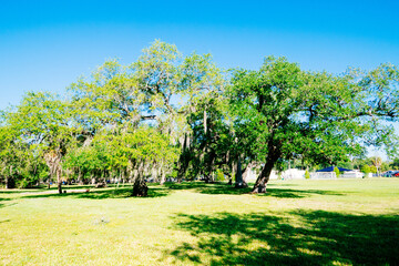 Morning of McKay Bay beach in Tampa, Florida	