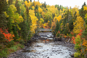 Wall Mural - fly fishermen fish trout on the brule river in northern minnesota on a beautiful fall day