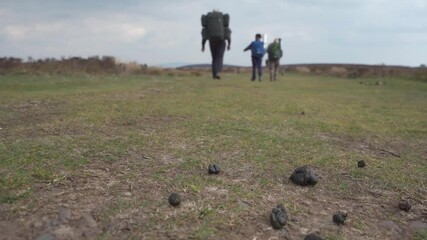 Canvas Print - Man and two boys walking in the countryside past sheep poo