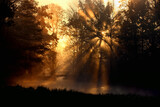 Fototapeta  - Promienie jesiennego wschodzącego słońca w parku. 