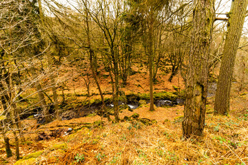 Wall Mural - Morning trek in Peak District Brandord Edge National Park 2021 April