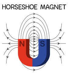 Wall Mural - horseshoe magnet diagram for education