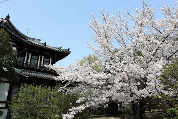 Sticker - 奈良県　大和郡山城