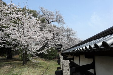 Poster - 奈良県　大和郡山城