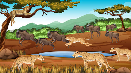 Poster - Group of Wild African Animal in the forest scene