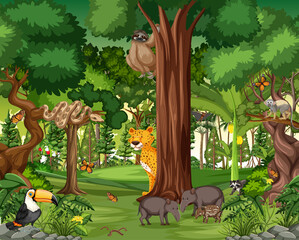 Wall Mural - Rainforest scene with wild animals