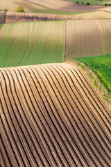 Canvas Print - fields