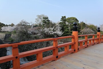 Sticker - 奈良県　大和郡山城