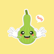 Calabash Or Lagenaria Siceraria , Also Known As Bottle Gourd Cartoon Character Flat Design Illustration. Cute And Kawaii Calabash Gourds Plant Design. Pear-shaped Bottle Gourd