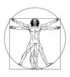 Vector vitruvian man illustration
