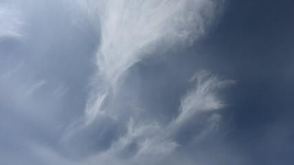 Wall Mural - Isolated wispy cirrus clouds move across a in a stunning blue sky.
