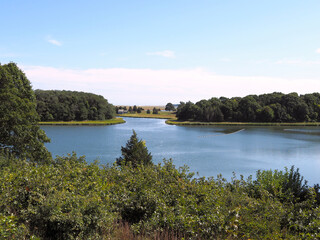 Naklejka na meble Salt Pond at Cape Cod National Seashore