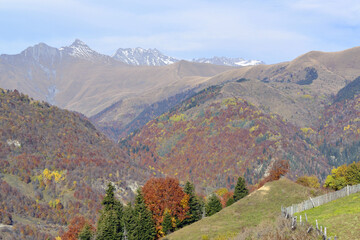 Golden autumn in the Caucasus mountains